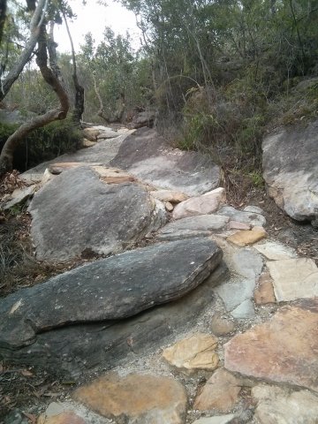 Amazing stonework/ rock armouring on this trail
