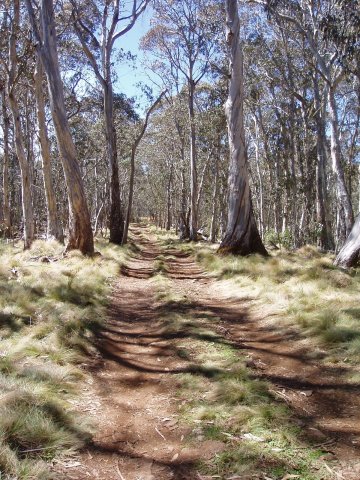 Polblue Trail