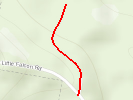 Little Falcon Road Fork